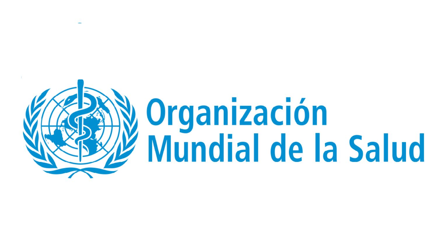 xr:d:DAFjAXKVRHw:3,j:47209635873,t:23051518