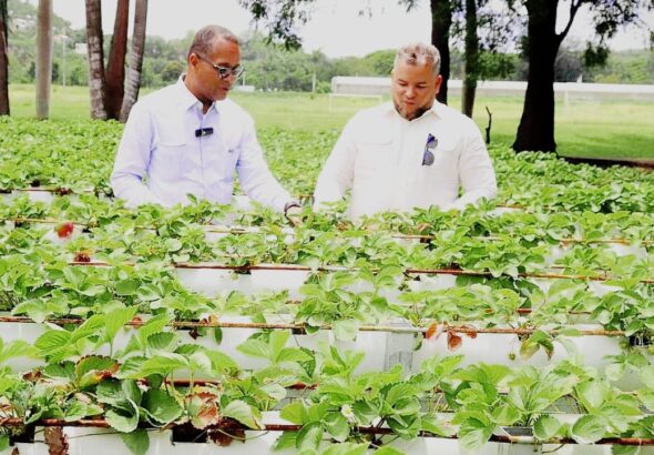 WhatsApp Image 2026-04-14 at 7.25.26 PM