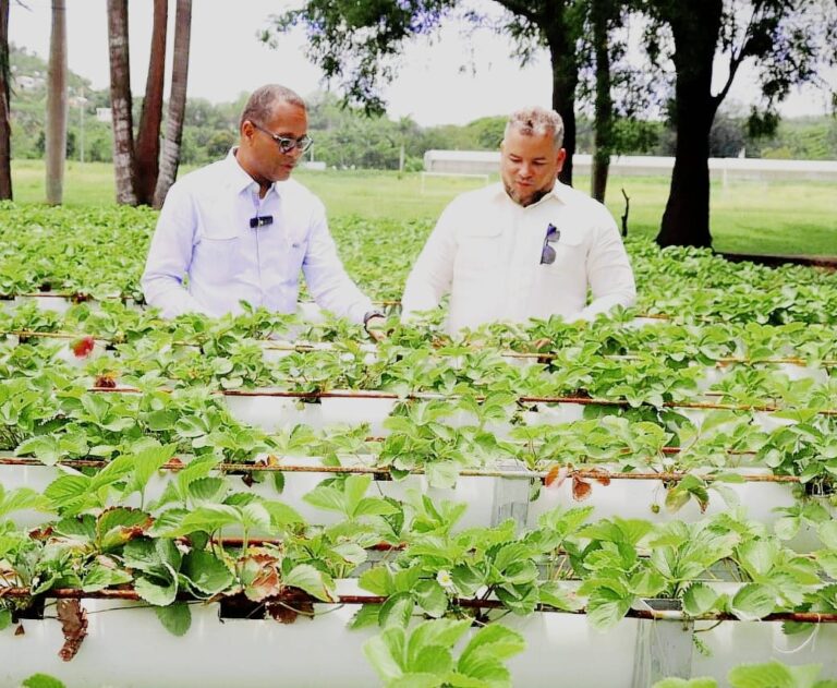 WhatsApp Image 2026-04-14 at 7.25.26 PM