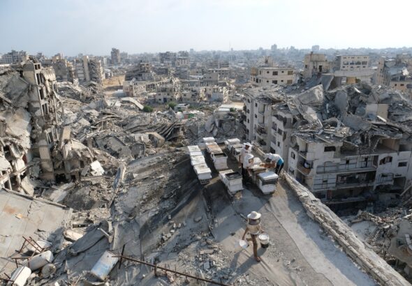 Gaza bajo la tregua o la banalización del horror