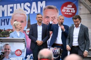 Neonazis, exactores porno, una proxeneta y un condenado por robo entre los nuevos diputados regionales de AfD